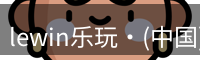 lewin乐玩
